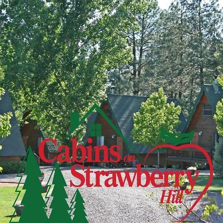 Cabins On Strawberry Hill Hotel Pine Luaran gambar